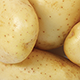 Kartupeļi